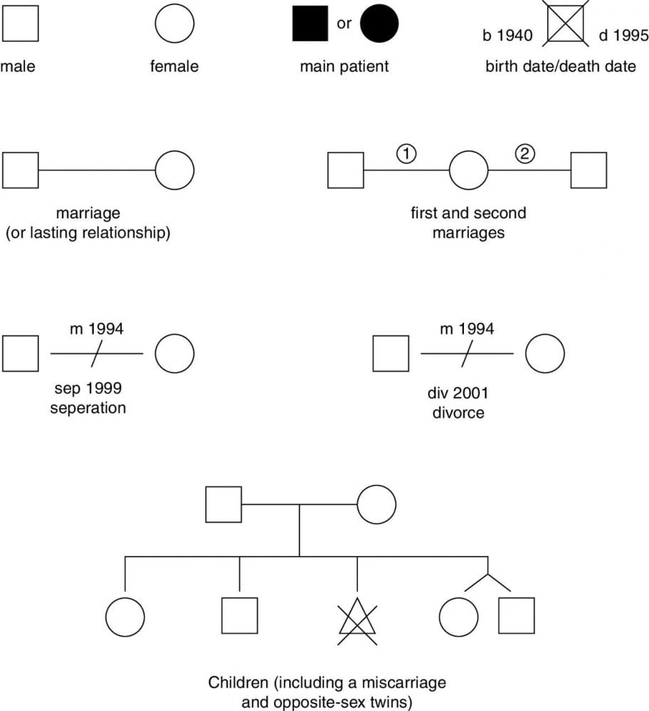 example genogram of three generations social work